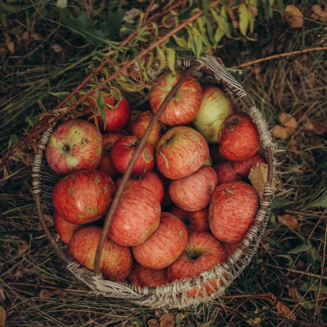 Pommes
